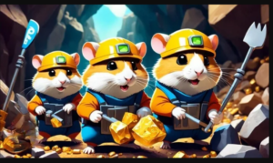 hamster kombat daily combo cards and daily cipher code